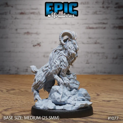 Climbing Ram Rock (Medium)