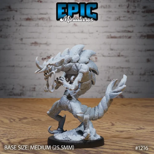 Shrimp Folk (Medium)