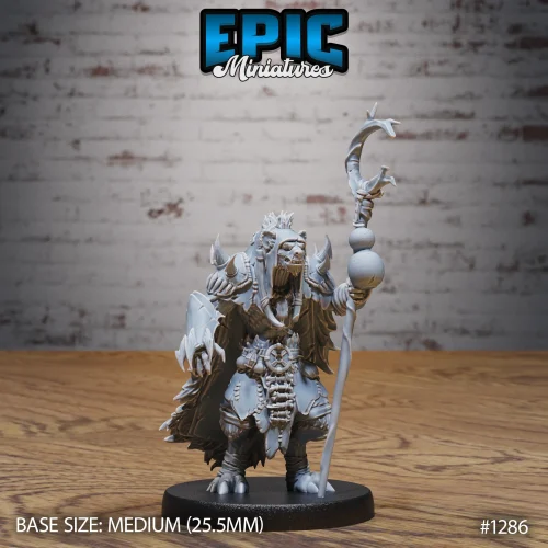 Gnoll Tribe Shaman (Medium)