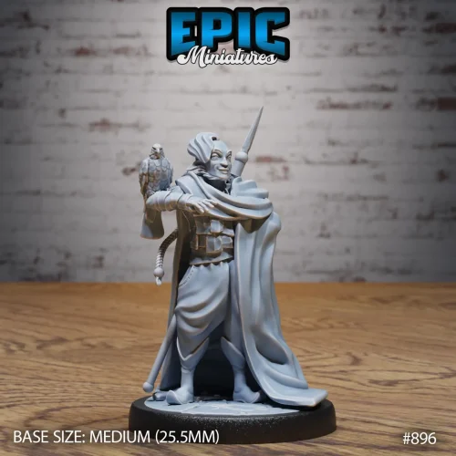 Fir Bholg Falconer (Medium)